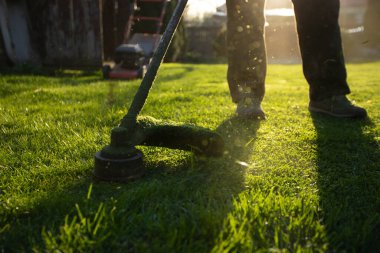 Çim biçme makinesiyle çimleri biçmek. Bahçe işleri konsepti.