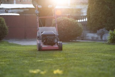 Çim biçme makinesiyle çimleri biçmek. Bahçe işleri konsepti.