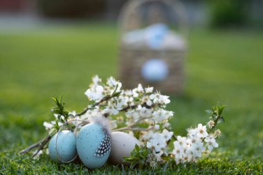 Yeşillerle kaplı çimlerin üzerinde oturan Paskalya yumurtaları, arka planda tavşan sepeti..