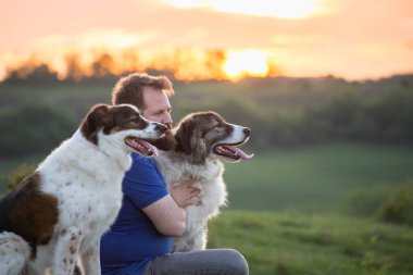 İnsan doğada köpekleriyle gün batımında.
