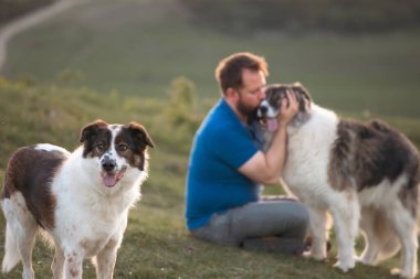 İnsan doğada köpekleriyle gün batımında.