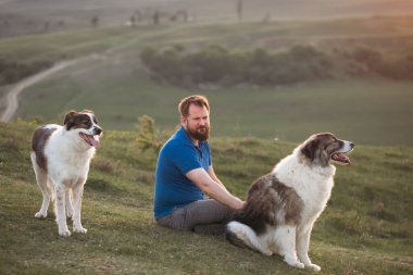 İnsan doğada köpekleriyle gün batımında.