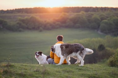 İnsan doğada köpekleriyle gün batımında.
