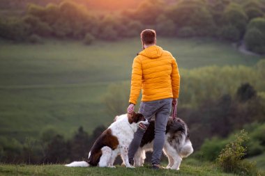 İnsan doğada köpekleriyle gün batımında.