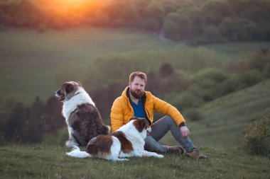 İnsan doğada köpekleriyle gün batımında.