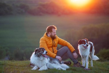 İnsan doğada köpekleriyle gün batımında.