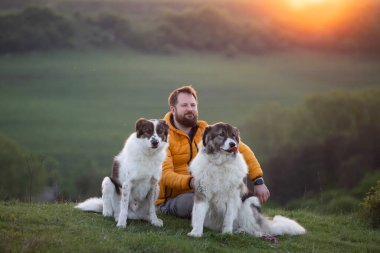 İnsan doğada köpekleriyle gün batımında.