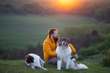 İnsan doğada köpekleriyle gün batımında.