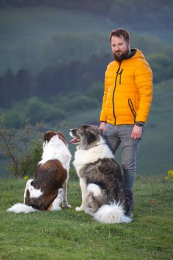 İnsan doğada köpekleriyle gün batımında.