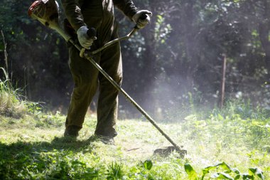 Çim biçme makinesiyle çimleri biçmek. Bahçe işleri konsepti.