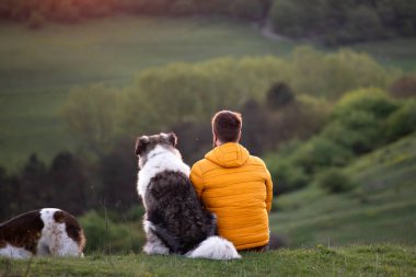 İnsan doğada köpekleriyle gün batımında.