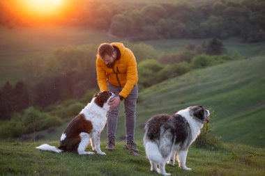 İnsan doğada köpekleriyle gün batımında.