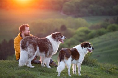 İnsan doğada köpekleriyle gün batımında.