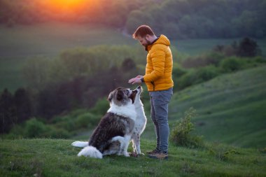 İnsan doğada köpekleriyle gün batımında.