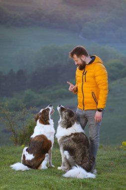 İnsan doğada köpekleriyle gün batımında.