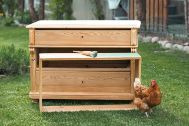 Bahçedeki ahşap mobilyaların üzerine yeşil boya sürmüş boya fırçası. Yaratıcı tasarım, ev yenileme teması, DIY konsepti