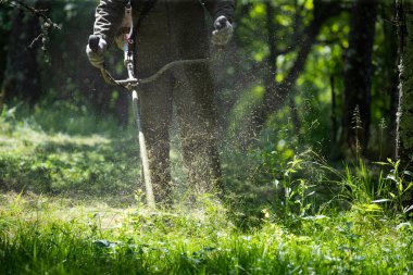 Çim biçme makinesiyle çimleri biçmek. Bahçe işleri konsepti.