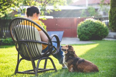Güneşli bir günde avluda tüylü kahverengi köpeğinin yanında dizüstü bilgisayarda çalışan bir kadın. Evden çalışan serbest çalışan bir iş kadını..