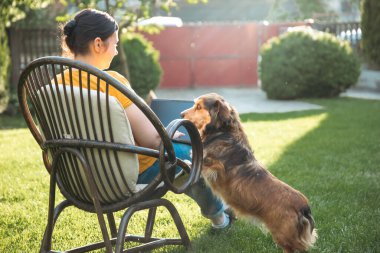 Güneşli bir günde avluda tüylü kahverengi köpeğinin yanında dizüstü bilgisayarda çalışan bir kadın. Evden çalışan serbest çalışan bir iş kadını..