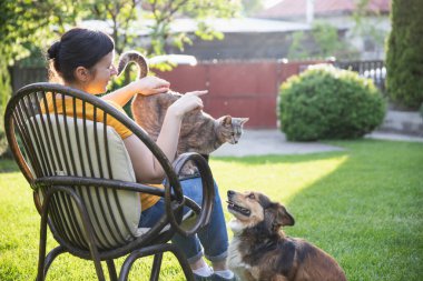 Güneşli bir günde kedi ve köpeğinin yanında dizüstü bilgisayarda çalışan bir kadın. Evden çalışan serbest çalışan bir iş kadını..