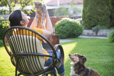 Güneşli bir günde kedi ve köpeğinin yanında dizüstü bilgisayarda çalışan bir kadın. Evden çalışan serbest çalışan bir iş kadını..