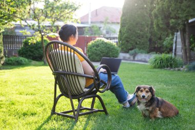 Güneşli bir günde avluda tüylü kahverengi köpeğinin yanında dizüstü bilgisayarda çalışan bir kadın. Evden çalışan serbest çalışan bir iş kadını..