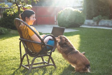 Güneşli bir günde avluda tüylü kahverengi köpeğinin yanında dizüstü bilgisayarda çalışan bir kadın. Evden çalışan serbest çalışan bir iş kadını..