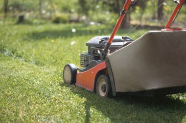 Çim biçme makinesiyle çimleri biçmek. Bahçe işleri konsepti.