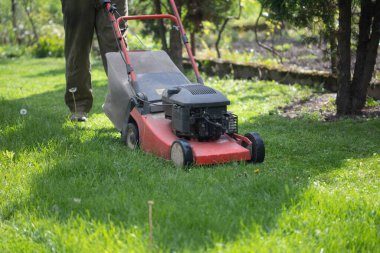 Çim biçme makinesiyle çimleri biçmek. Bahçe işleri konsepti.