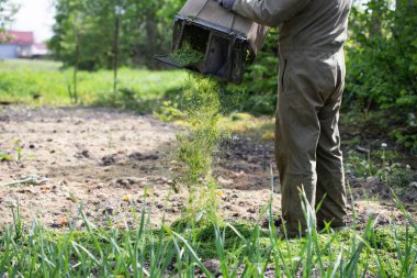 Gübreleme çimen ve kırpma. Organik humus. Bahçe konseptinde atık geri dönüşümü.