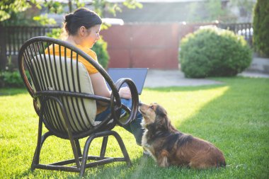 Güneşli bir günde avluda tüylü kahverengi köpeğinin yanında dizüstü bilgisayarda çalışan bir kadın. Evden çalışan serbest çalışan bir iş kadını..