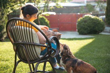 Güneşli bir günde kedi ve köpeğinin yanında dizüstü bilgisayarda çalışan bir kadın. Evden çalışan serbest çalışan bir iş kadını..