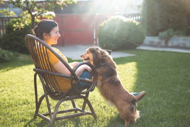 Güneşli bir günde avluda tüylü kahverengi köpeğinin yanında dizüstü bilgisayarda çalışan bir kadın. Evden çalışan serbest çalışan bir iş kadını..