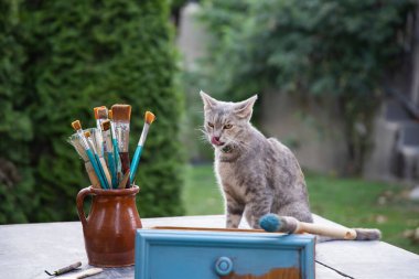 Kil sürahide boya fırçaları ve bahçede sevimli bir kedi.