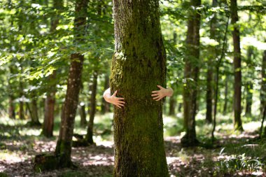Ormanda bir ağacı kucaklayan kadın. Doğa sever, küresel ısınmayla mücadele eder.