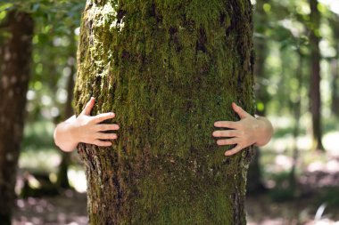 Ormanda bir ağacı kucaklayan kadın. Doğa sever, küresel ısınmayla mücadele eder.
