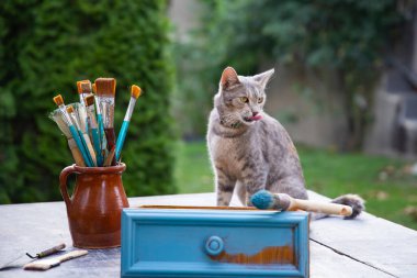 Kil sürahide boya fırçaları ve bahçede sevimli bir kedi.