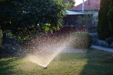 Yeşil çimlerin üzerinde uçan su damlaları. Çimenleri sulamak için otomatik fıskiye sistemi (sulama sistemi)