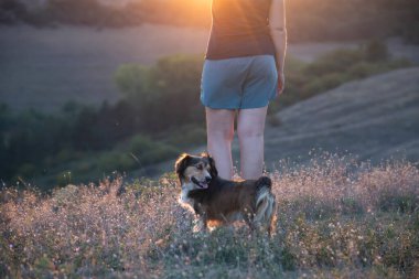 Rahatlamış kadın ve köpek tepenin üstünde yaz günbatımının tadını çıkarıyorlar..