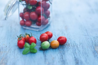 Cam kavanozda fesleğen yapraklı kiraz domatesleri. Sonbahar ya da kış için yiyecek. Ev yapımı hazırlıklar.