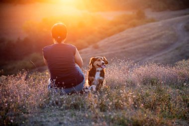 Rahatlamış kadın ve köpek tepenin üstünde yaz günbatımının tadını çıkarıyorlar..