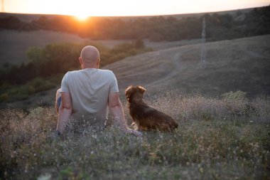 Doğada bir adam ve köpeği güzel bir gün batımında.