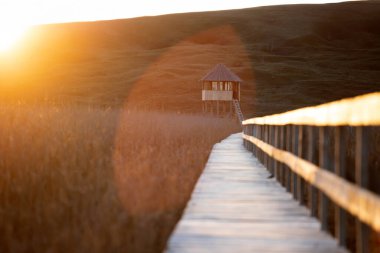  Rustic path through marsh land in magic sunset. The concept of infinity. clipart