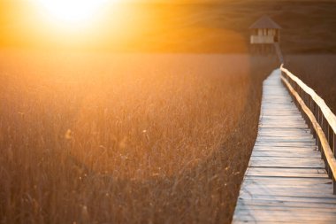  Rustic path through marsh land in magic sunset. The concept of infinity. clipart