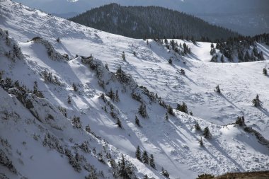 Güzel bir kış gününde karla kaplı bir dağın manzarası. Ciucas Dağları, Romanya