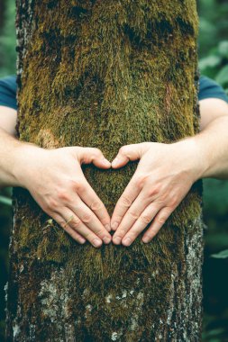 Ormanda bir ağacı kucaklayan insan eli. İnsanların kavramı doğayı sever ve ormansızlaşmadan, kirlilikten veya iklim değişikliğinden korur.