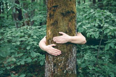 Ormanda bir ağacı kucaklayan insan eli. İnsanların kavramı doğayı sever ve ormansızlaşmadan, kirlilikten veya iklim değişikliğinden korur.