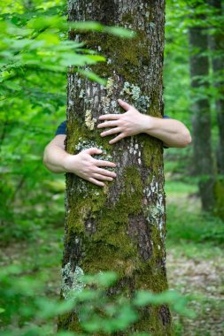 Ormanda bir ağacı kucaklayan insan eli. İnsanların kavramı doğayı sever ve ormansızlaşmadan, kirlilikten veya iklim değişikliğinden korur.