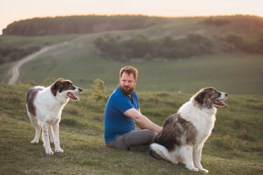 İnsan doğada köpekleriyle gün batımında.