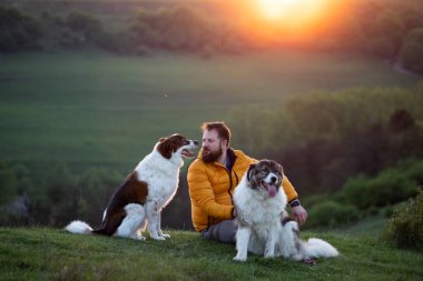 İnsan doğada köpekleriyle gün batımında.